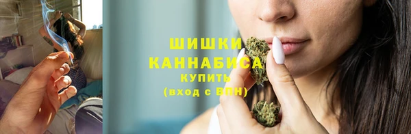 трава Горно-Алтайск