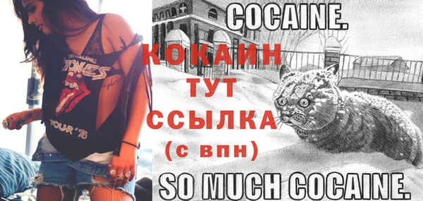 2c-b Горнозаводск